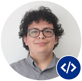 Salesforce Developer