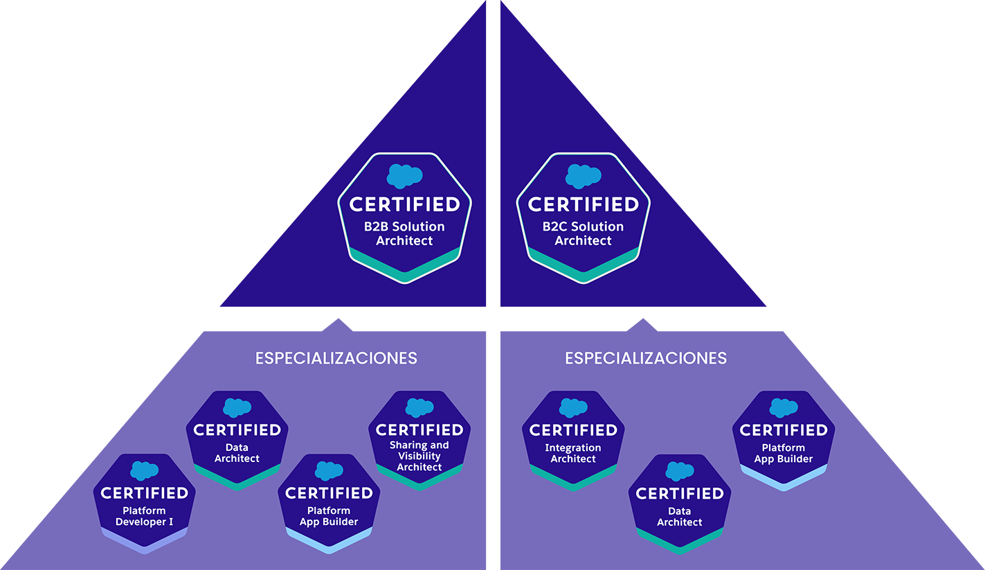 Solution Architect